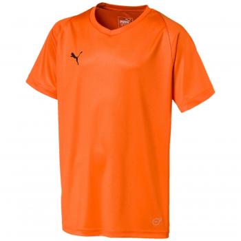 PUMA Kinder Team Jersey, Golden Poppy, 128
