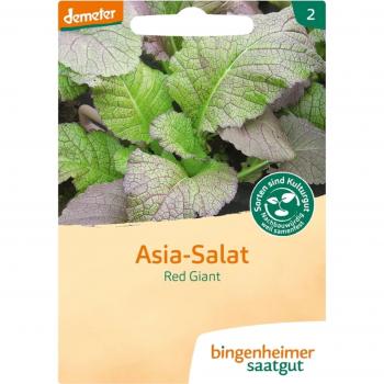 Bingenheimer Organic Red Giant Asian Salad