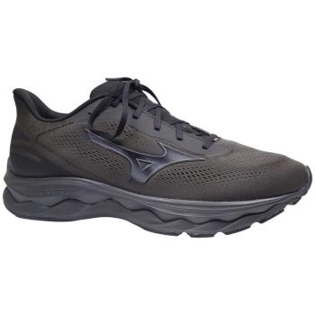 Mizuno Wave Serene GTX 2 Rugged Trail Schoen Heren Zwart