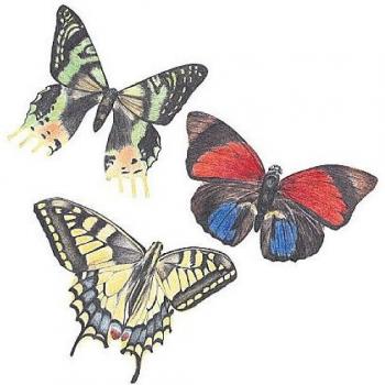 Butterfly Wallies Sticker – Schnittmuster‑Aufkleber