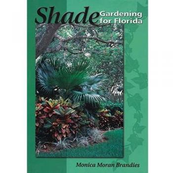 Shade Gardening for Florida