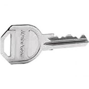 Yale Chiave Grezza per Cilindro (Gemma) Pz1