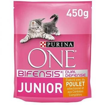 Purina One Alimento Seco para Gatos Junior 450 g