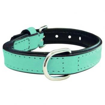 Gloria Pets Blau Gepolstertes Hundehalsband 40x2 cm