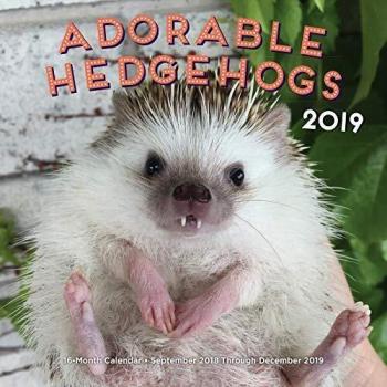 Adorable Hedgehogs 2019: 16-Month Calendar