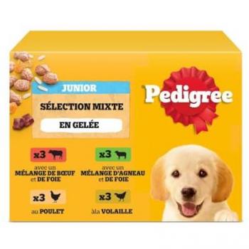 PEDIGREE Junior – 48 sachets gelée, 4 goûts, 100 g (12 x 4)