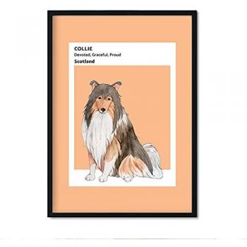 Póster de Border Collie