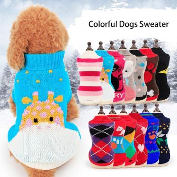 Pets Outfit