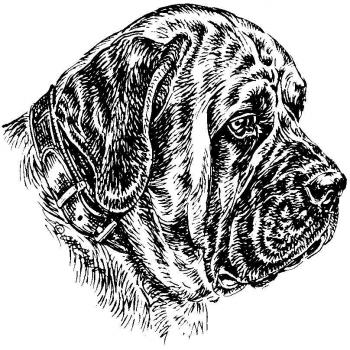 Schlüsselring Schecker “Mastiff” von M. Esser