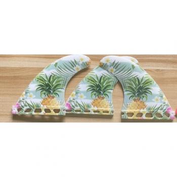 Conjunto de Aletas FCS2