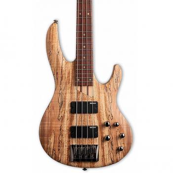 ESP LTD B-204 Bass Instrument