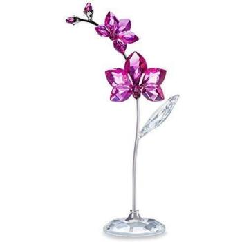 Orchid Elegance Crystal Collection
