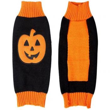 Pull-over Halloween pour Teddy