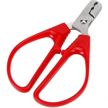 Nut and Seed Cracker Opener