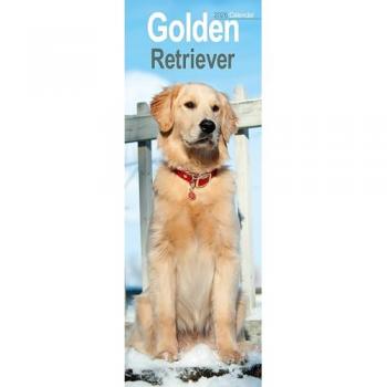Golden Retriever Slim Calendar 2026