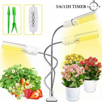 Invernadero Fitolampy Luz Full Spectrum 65W