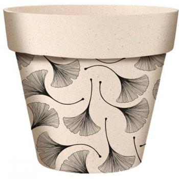 Taza de Jardín Ginkgo Biloba En Sombra Neutra 14x12
