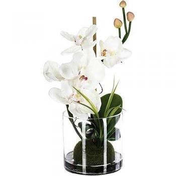 Terrario da Giardino Orchidea 32 cm