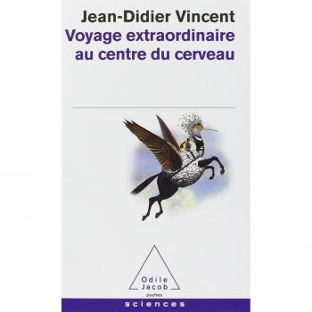 Voyage extraordinaire au centre du cerveau