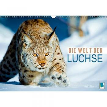 Die Welt der Luchse
