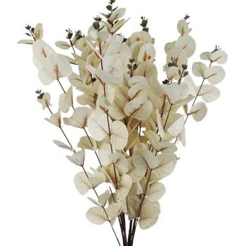 Six‑Pack White Eucalyptus Stem Set – 80 cm Long