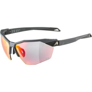 ALPINA Twist Six QV A8723 521 70 Graumatt / Regenbogen Spiegel