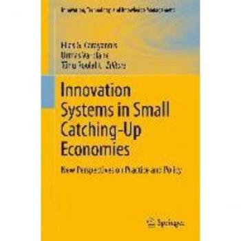 Innovation Systems in Small Catching-Up Economies