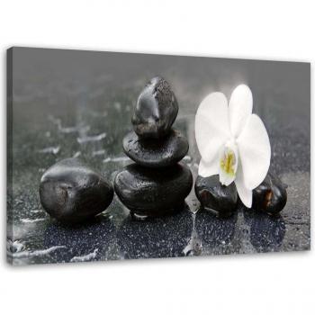 Zen Spa Orchid Stone Wall Art 60x40 White/Black