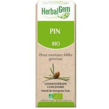 Pinho Macerado em Glicerina 50 ml