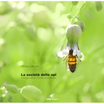 Libri Marina Gallandra