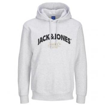Jack & Jones Kapuzensweatshirt JORBRONX ARCH BIG SWEAT HOOD