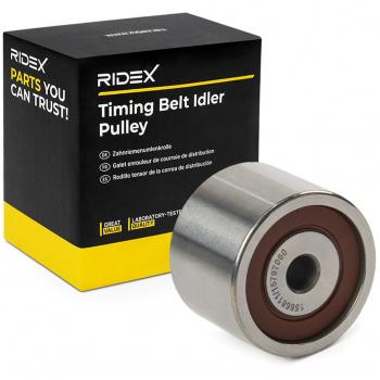 Cinghia RIDEX Guida-Galoppino 313D0164