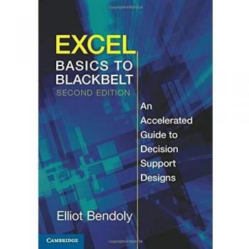 Excel Basics to Blackbelt