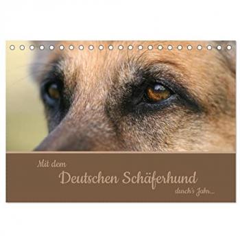 Mit dem Deutschen Schäferhund durch's Jahr (Tischkalender 2025 DIN A5 quer) CALVENDO Monatskalender