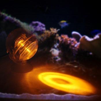 Bunte Unterwasser LED Spotlampe