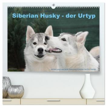 Siberian Husky