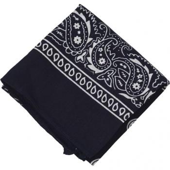 Navy Blue Paisley Scarf