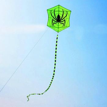 Adult Spider Kite