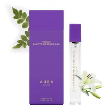 Vicky Martin Berrocal EDT Aura Mixte 100 ml