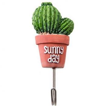 Self-Adhesive Wall Hooks for Succulent Plants