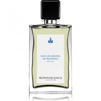 Sous un Mimosa de Provence