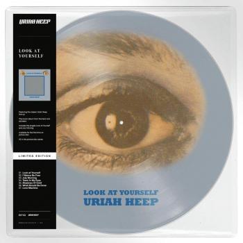 Vinilo de Colección Look at Yourself