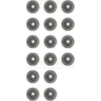 Dichtungssatz Reinz 12‑54206‑01 – Ventilschaft
