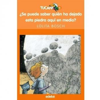¿SE PUEDE SABER QUIÉN HA DEJADO ESTA PIEDRA AQUÍ EN MEDIO?