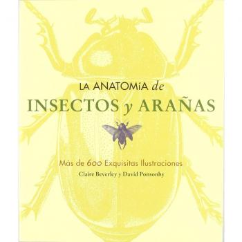 La anatomía de insectos y arañas (Tapa blanda).