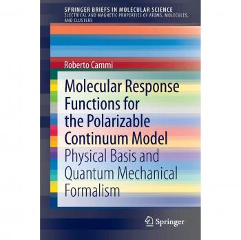Molecular Response Functions for the Polarizable Continuum Model: Physical basis and quantum mechanical formalism