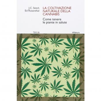 La coltivazione naturale della cannabis. Come tenere le piante in salute