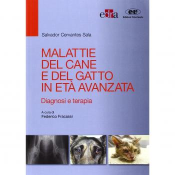Malattie del gatto in età avanzata. Diagnosi e terapia
