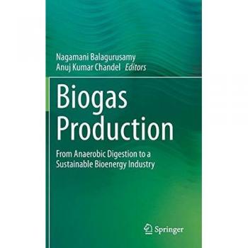 Biogas Production: From Anaerobic Digestion to a Sustainable Bioenergy Industry