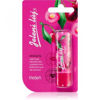 Regina Suif Juteux Cerise d'Été